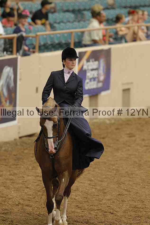 Proof Number 12yn_01204