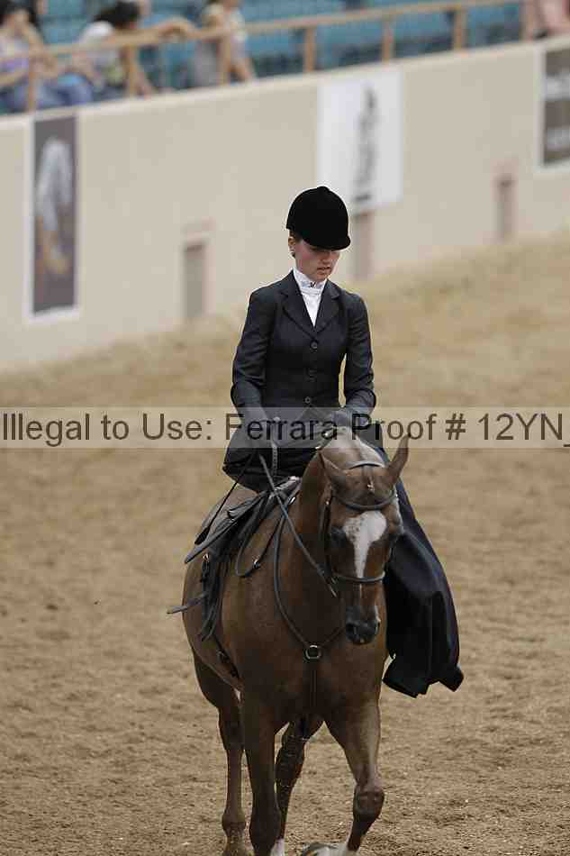 Proof Number 12yn_01205