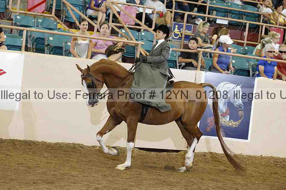 Proof Number 12yn_01208