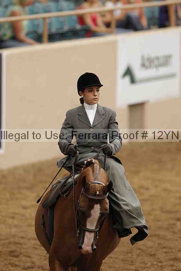 Proof Number 12yn_01219