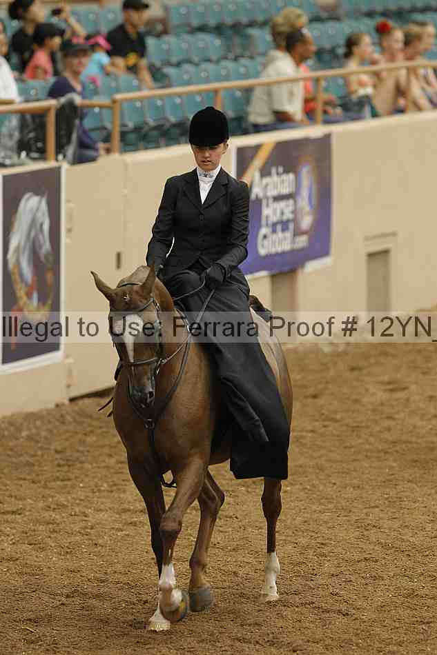 Proof Number 12yn_01222