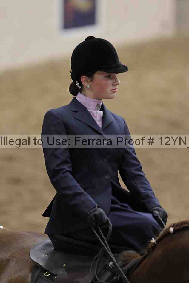 Proof Number 12yn_01224