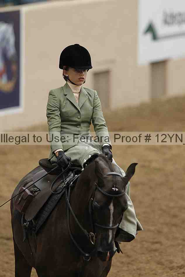 Proof Number 12yn_01226