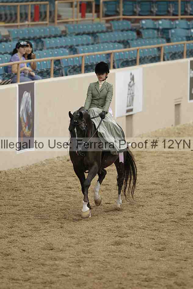 Proof Number 12yn_01233