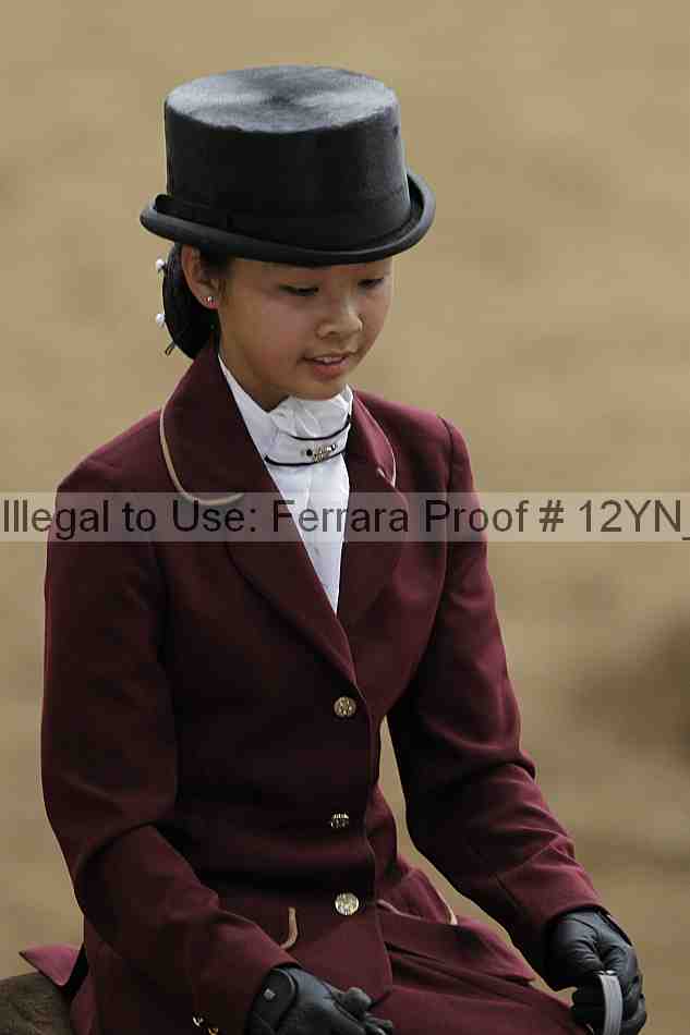 Proof Number 12yn_01245