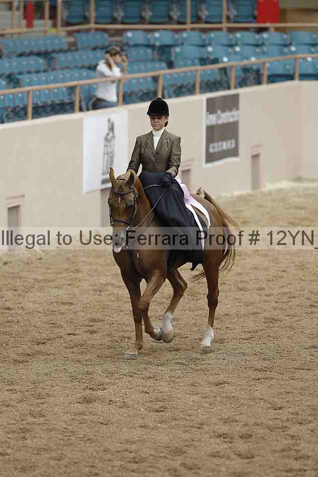Proof Number 12yn_01253