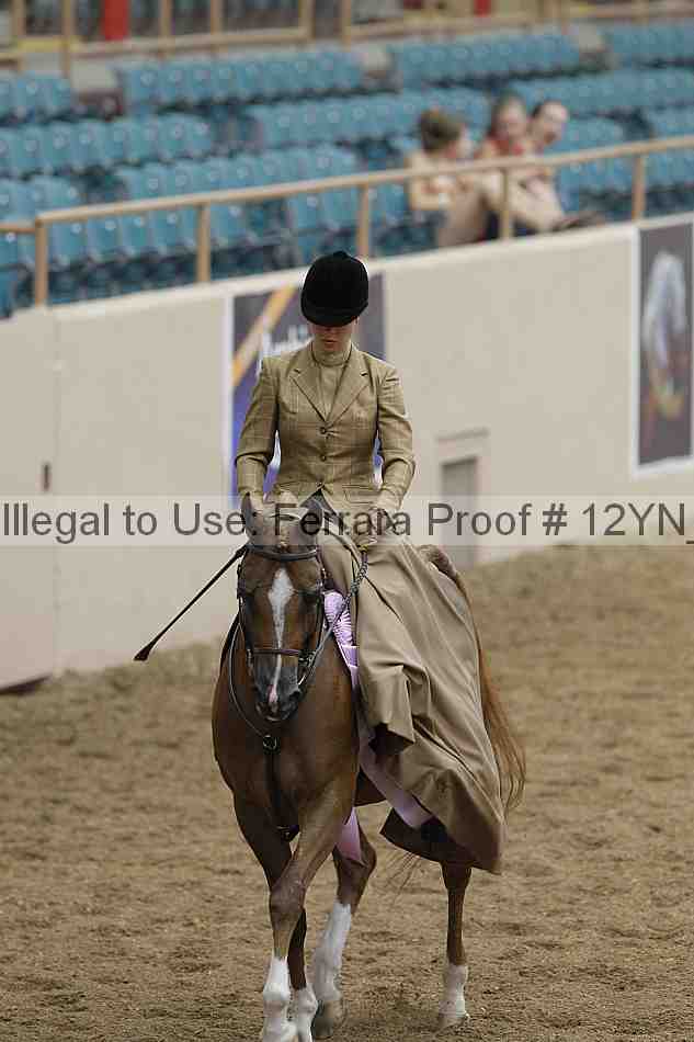 Proof Number 12yn_01260