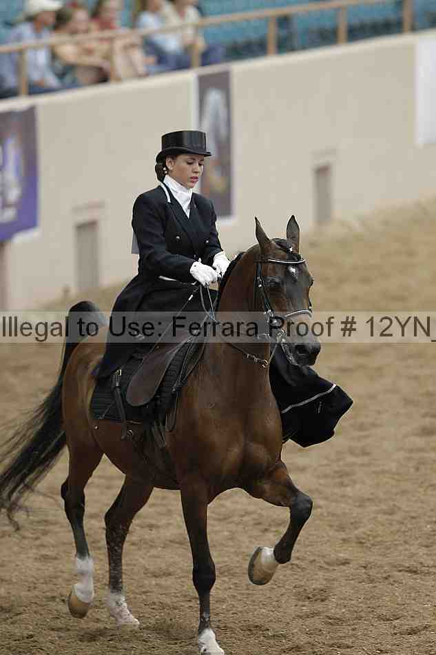 Proof Number 12yn_01295