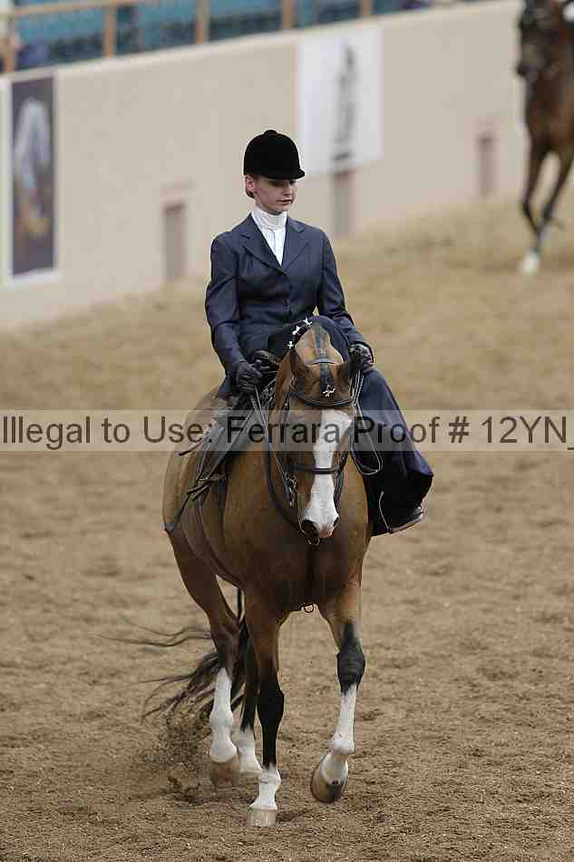 Proof Number 12yn_01307
