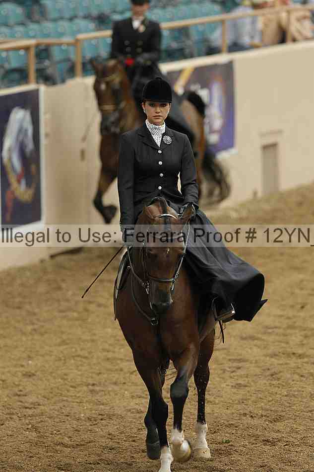 Proof Number 12yn_01319