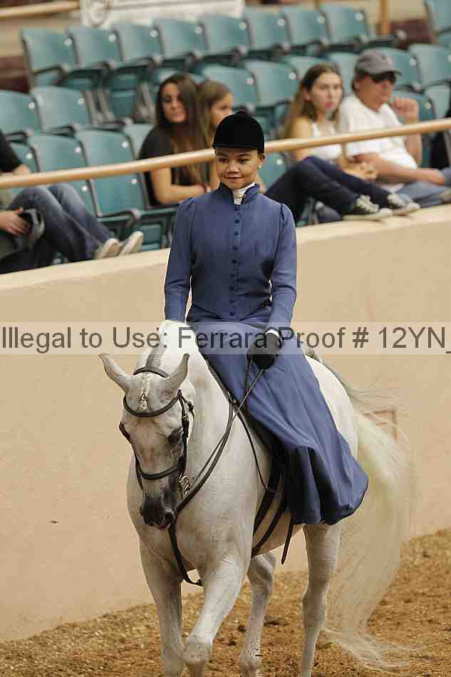 Proof Number 12yn_01322