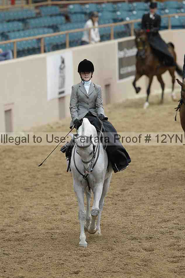 Proof Number 12yn_01327