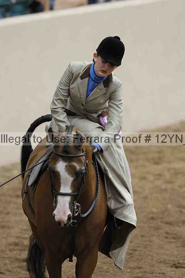 Proof Number 12yn_01348