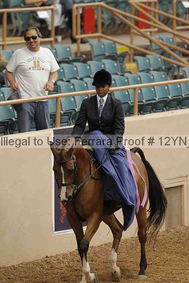 Proof Number 12yn_01353