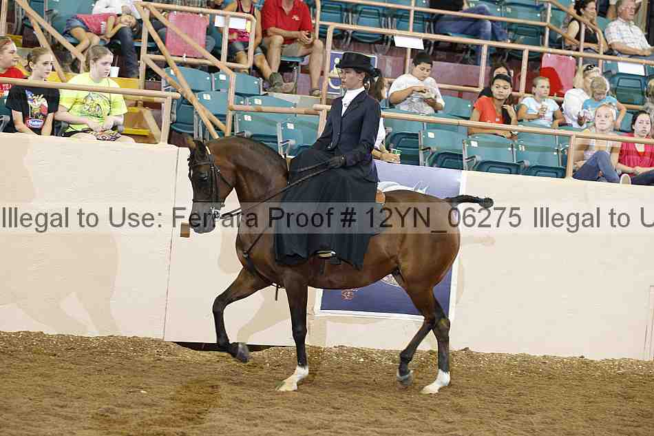 Proof Number 12yn_06275