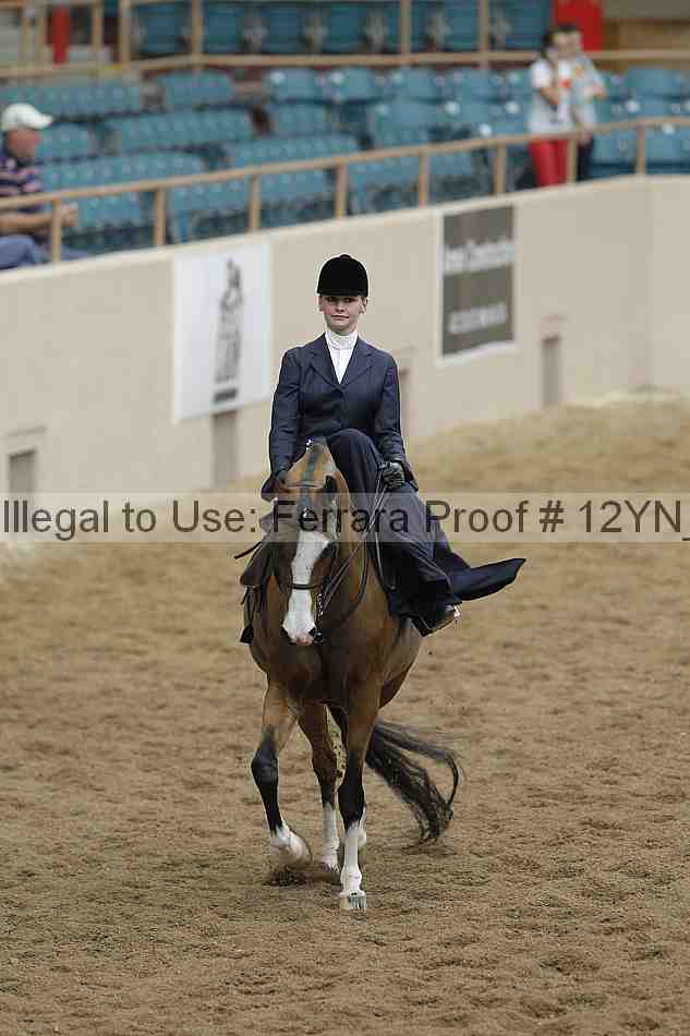 Proof Number 12yn_06282