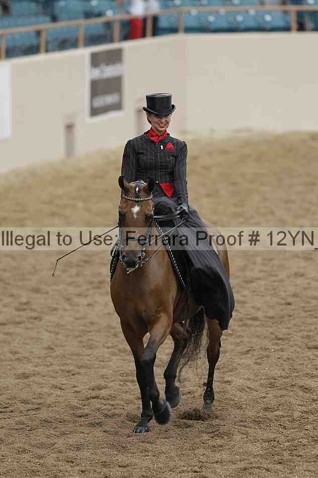 Proof Number 12yn_06286