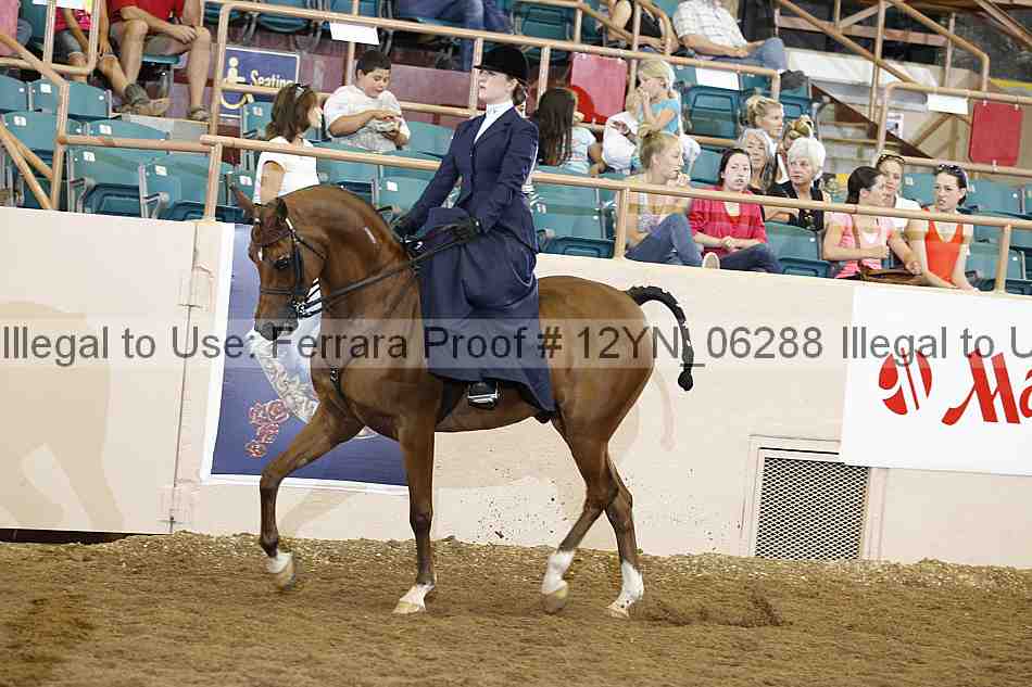 Proof Number 12yn_06288