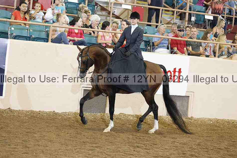 Proof Number 12yn_06294