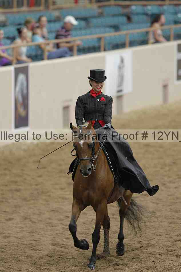 Proof Number 12yn_06300