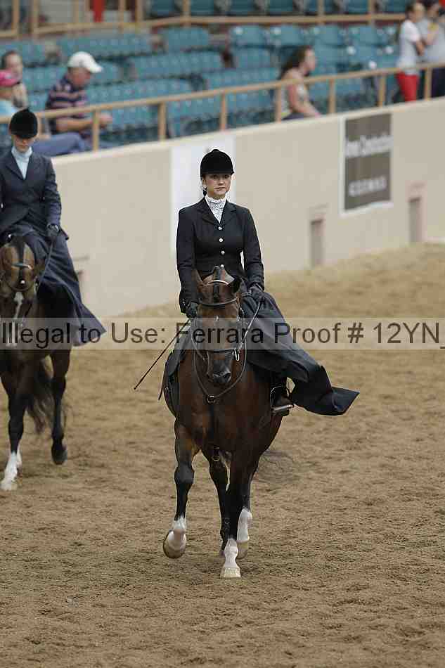 Proof Number 12yn_06302