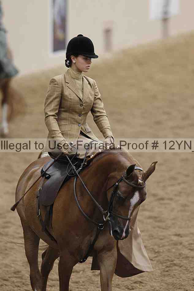 Proof Number 12yn_06304