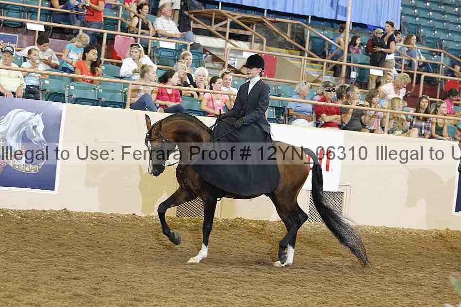 Proof Number 12yn_06310