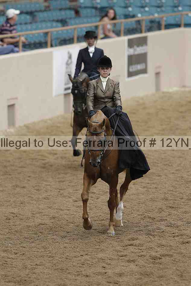Proof Number 12yn_06316