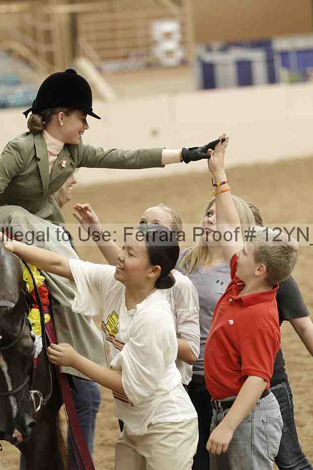 Proof Number 12yn_06357