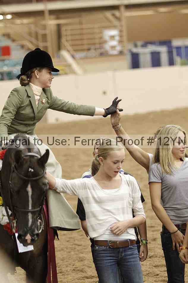 Proof Number 12yn_06361