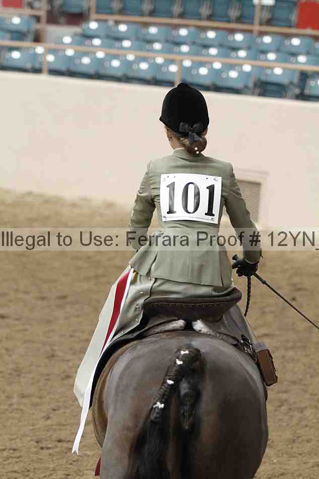 Proof Number 12yn_06373