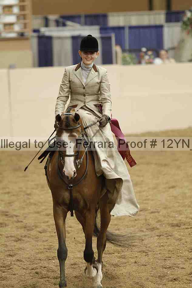 Proof Number 12yn_06376