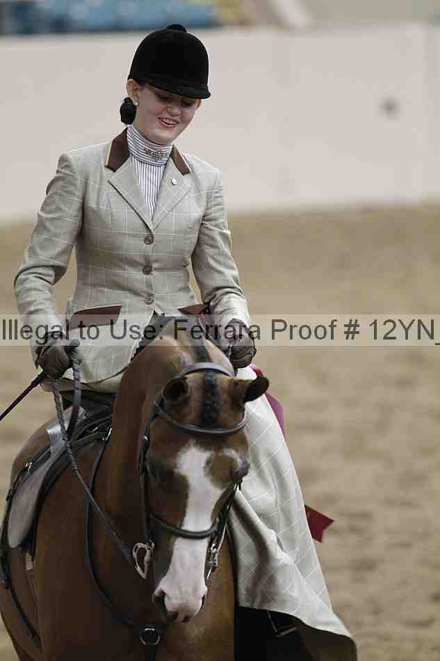 Proof Number 12yn_06377