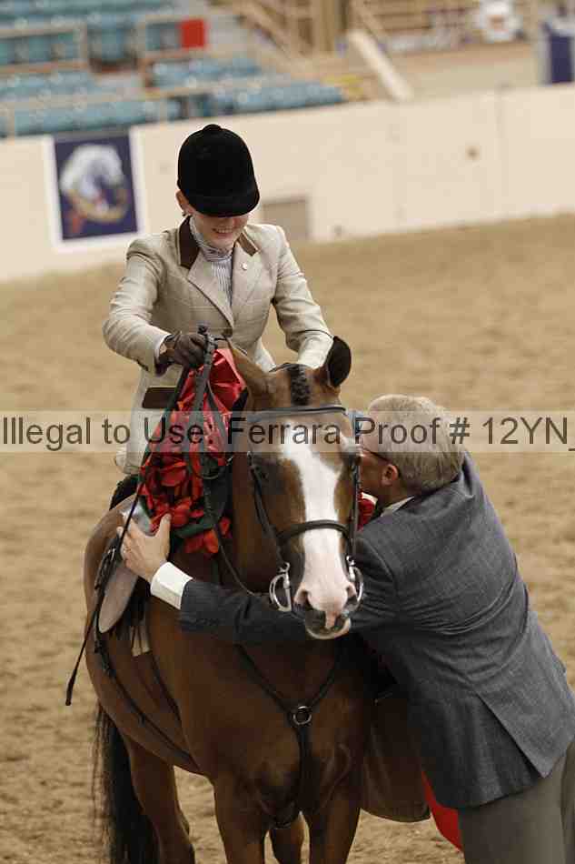 Proof Number 12yn_06380