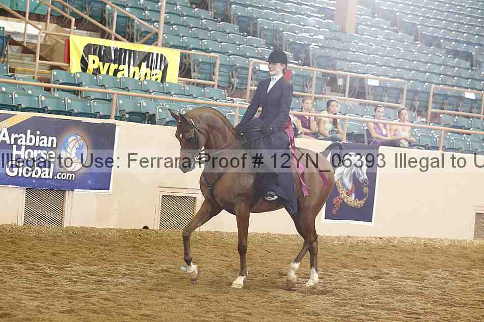 Proof Number 12yn_06393