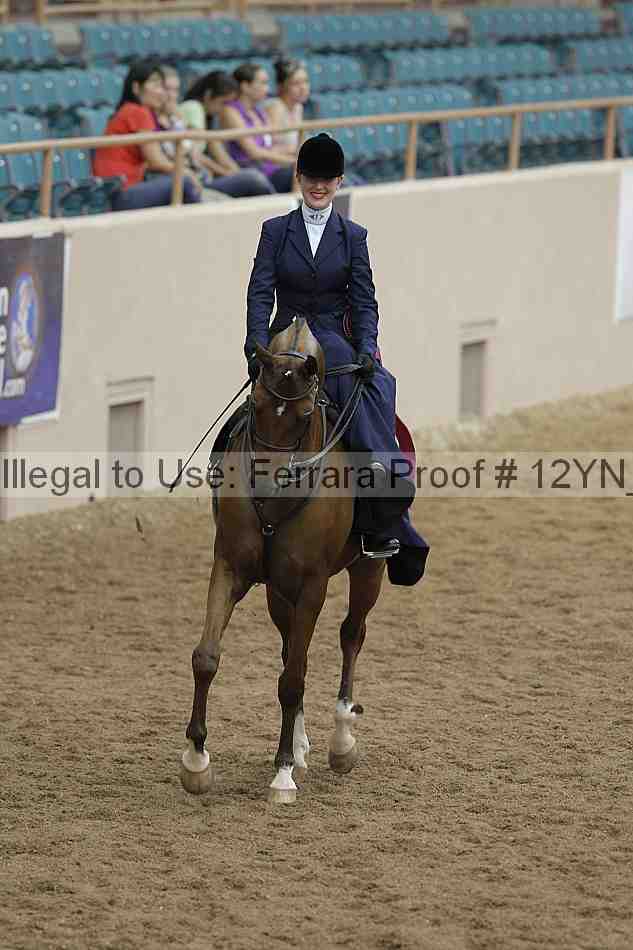 Proof Number 12yn_06400