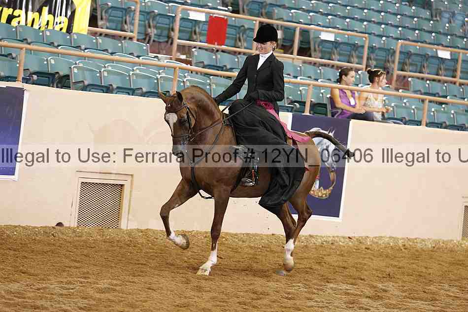 Proof Number 12yn_06406