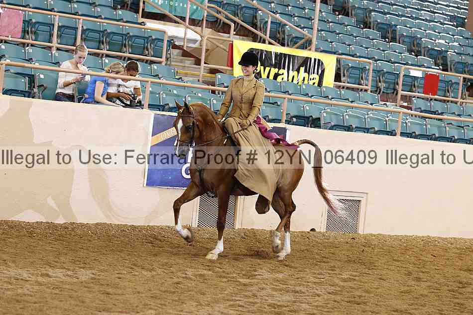 Proof Number 12yn_06409