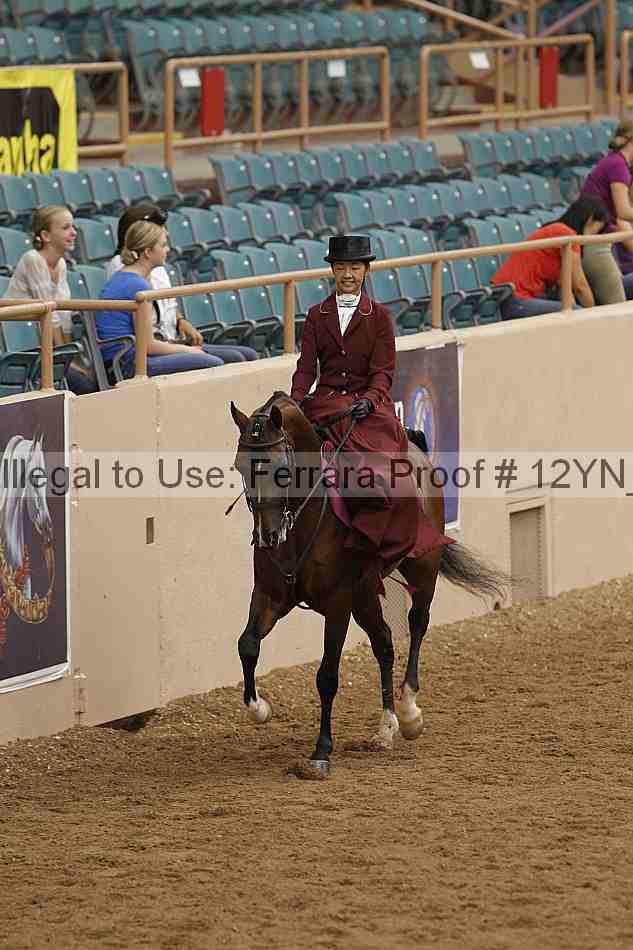 Proof Number 12yn_06411