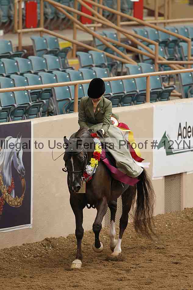 Proof Number 12yn_06439