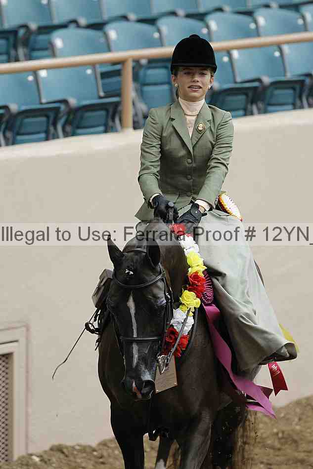 Proof Number 12yn_06442