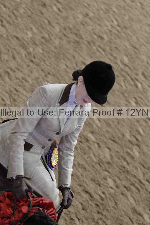Proof Number 12yn_06449