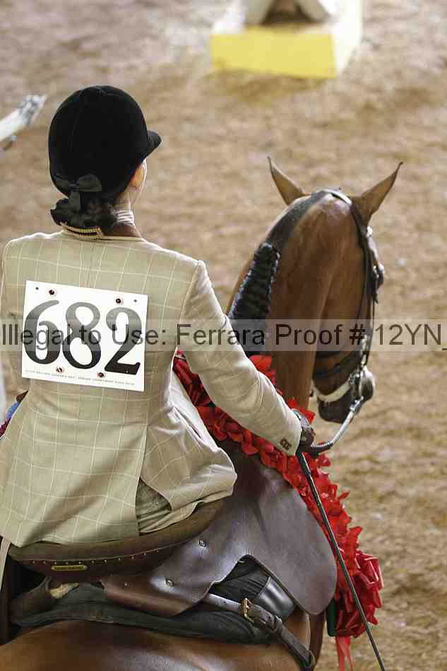 Proof Number 12yn_06453