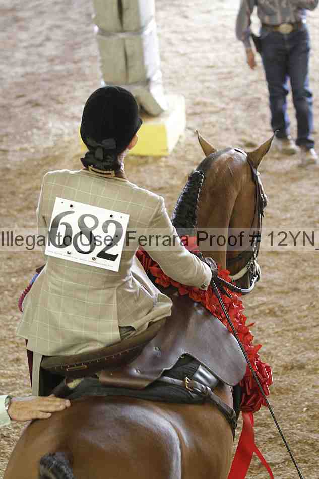 Proof Number 12yn_06454