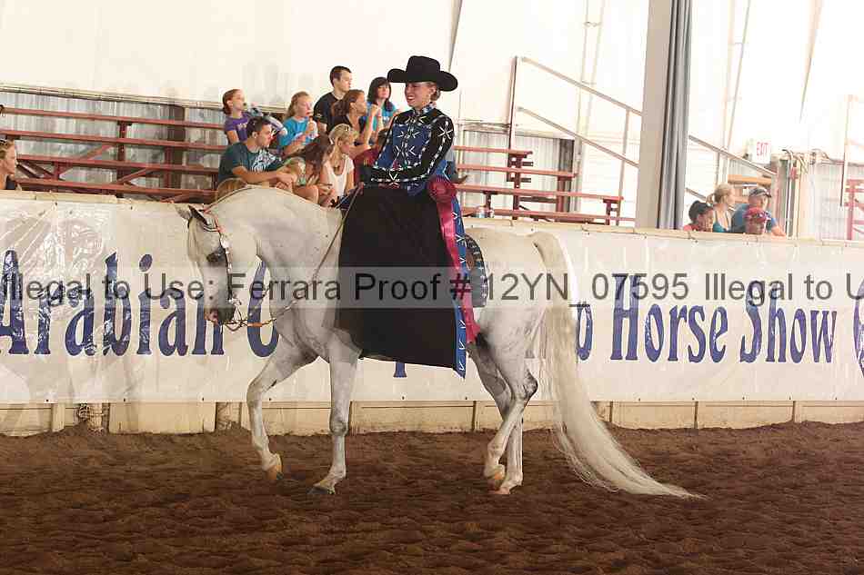 Proof Number 12yn_07595