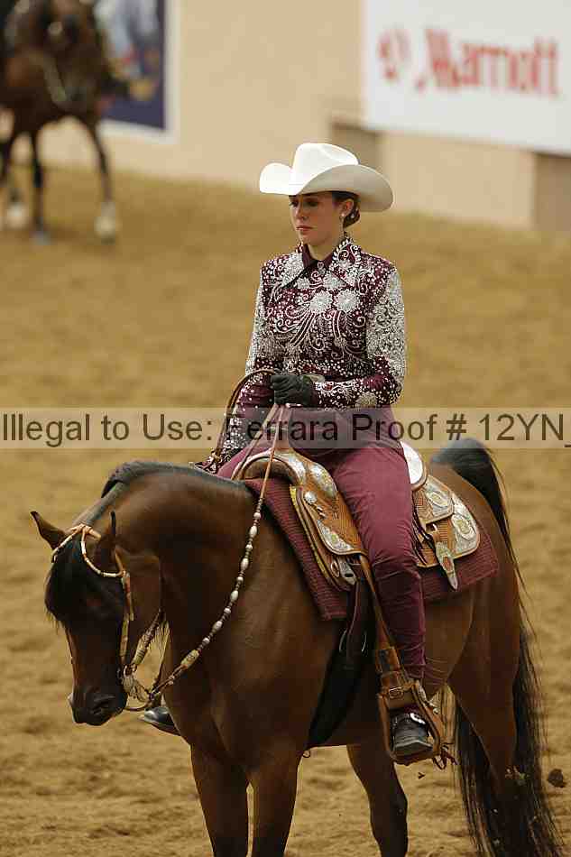 Proof Number 12yn_12061