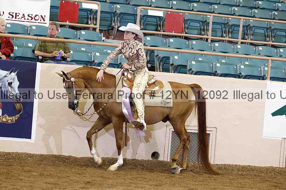 Proof Number 12yn_12092