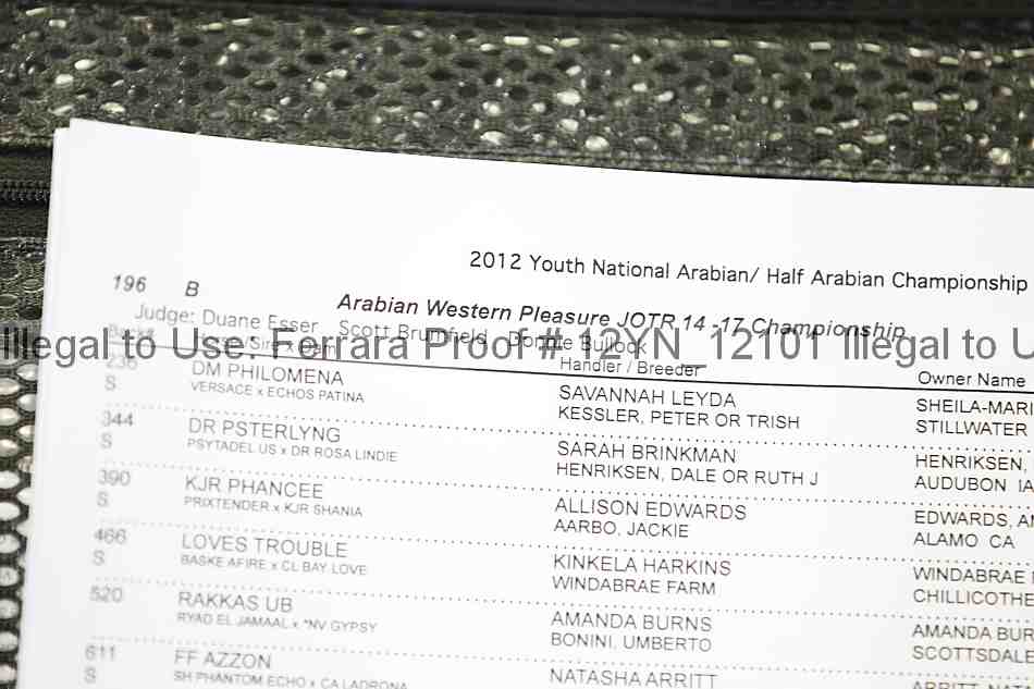 Proof Number 12yn_12101