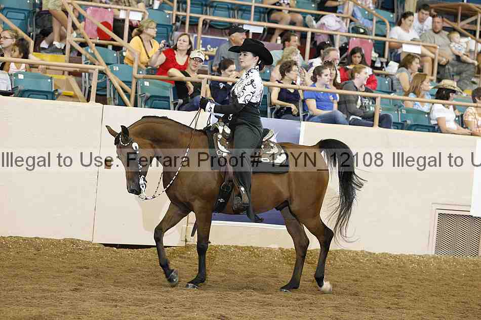 Proof Number 12yn_12108