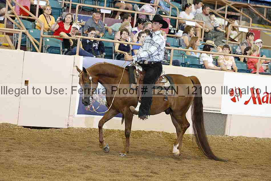 Proof Number 12yn_12109